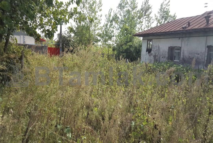 فروش زمین در روستای کچلک (2)